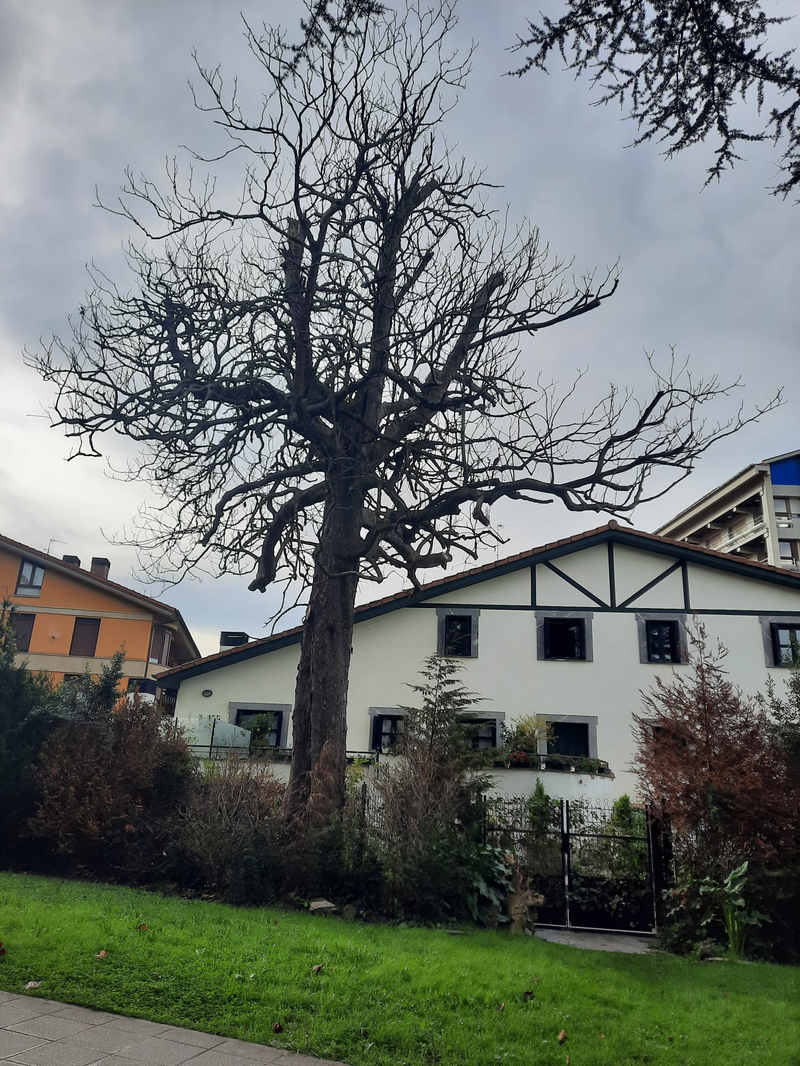 Cerradas las escaleras y el ascensor entre Itsasbegi, Mogel y la calle Ifar