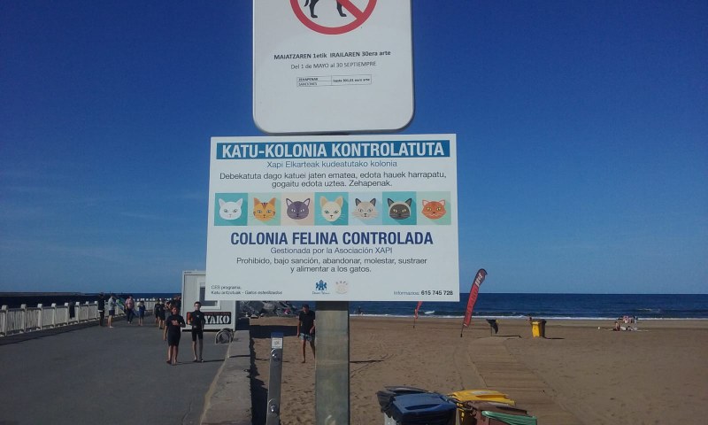 El Ayuntamiento de Deba ha tomado medidas con los gatos de la escollera