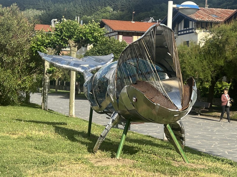 Hondartzako biodibertsitatea ezagutzeko bisita gidatuak uztailean eta abuztuan