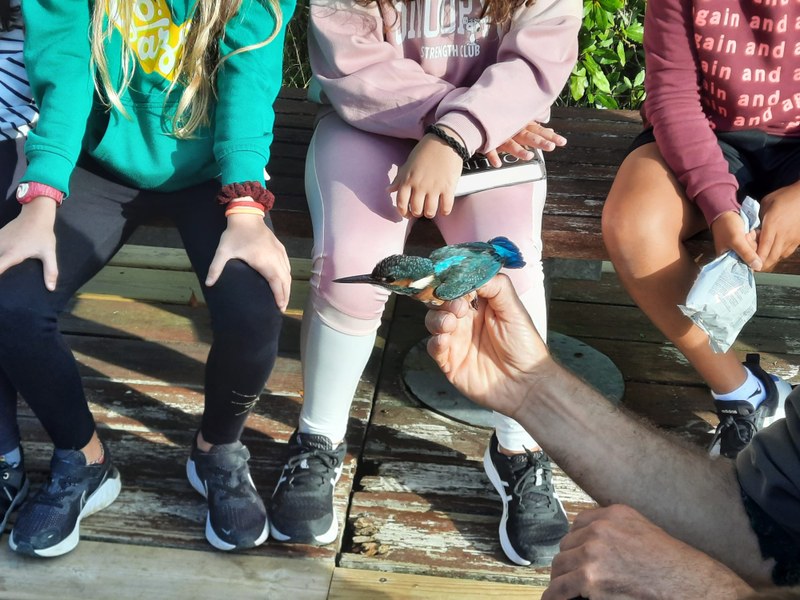 Ikasleei zuzendutako hegaztien eraztunketa egin dute Artzabalen