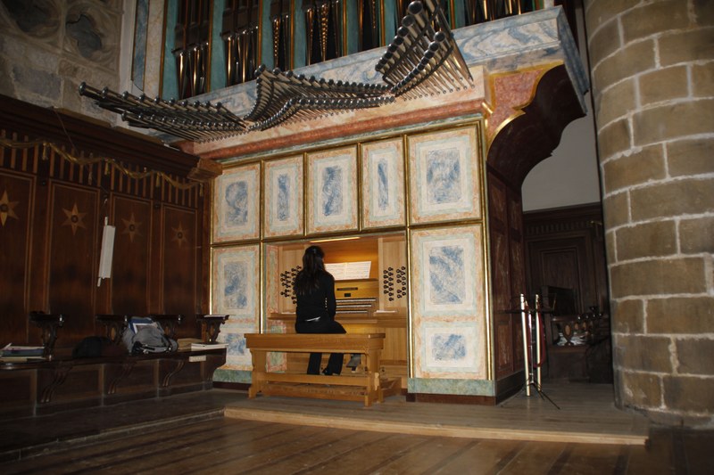 Nazioarteko Flysch Organo Zikloaren VIII. Edizioa Debara helduko da