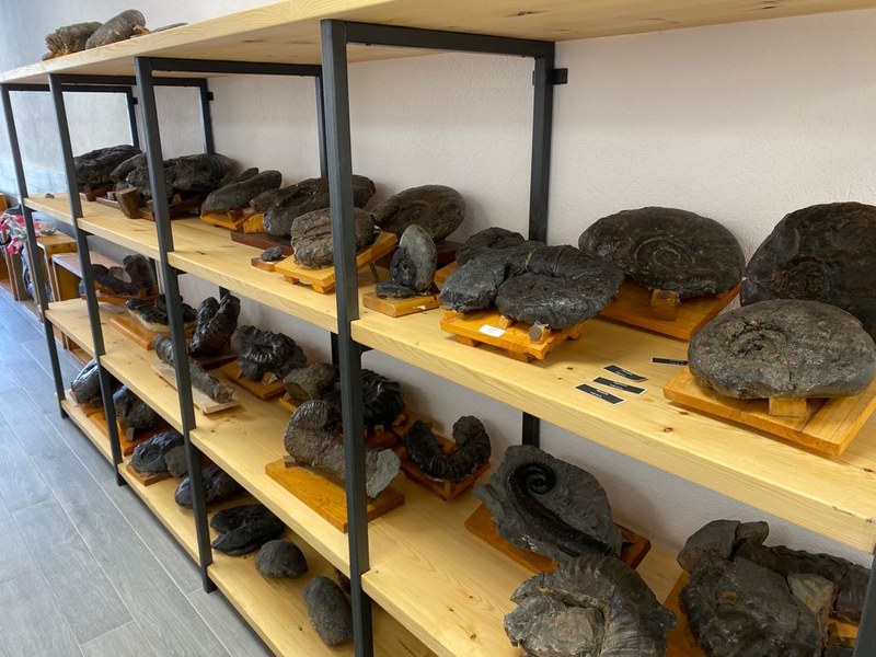 Zabalik da Euskal Kostaldeko Geoparkean ikerketa proiektu bat garatzeko eskaera epea