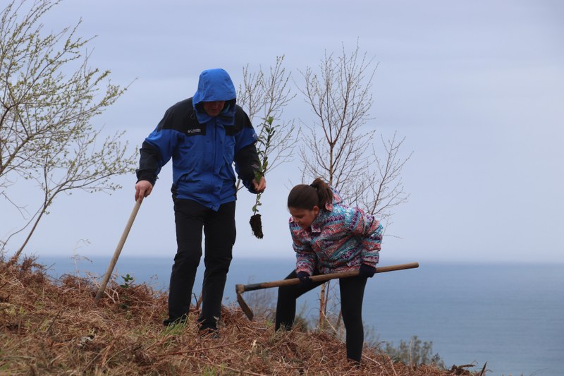 Zuhaitz landaketa egingo da Elorriagan igande honetan