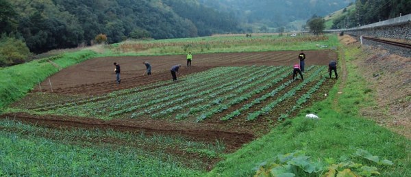 El Ayuntamiento de Deba acuerda arrendar por un periodo de cinco años el terreno situado en la ribera para seguir utilizándolo como huerta ocupacional