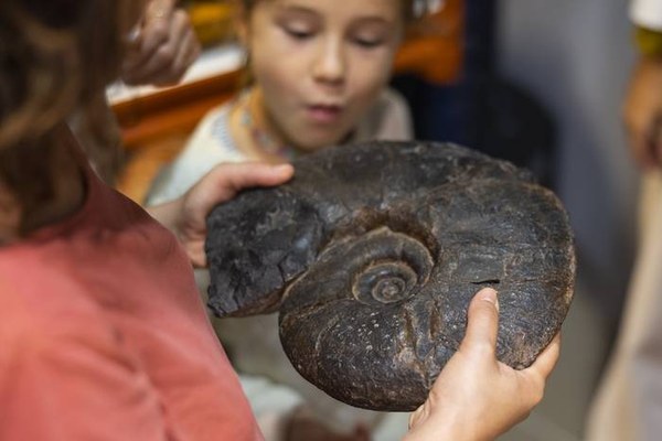 El Geoparque de la Costa Vasca añade la nueva visita ‘Flysch en familia’ a su programa anual