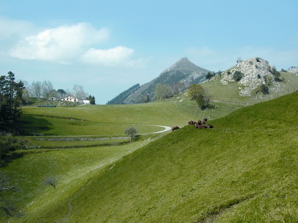 El Geoparque de la Costa Vasca y Aranzadi establecen un marco de colaboración para el estudio e interpretación del Karst