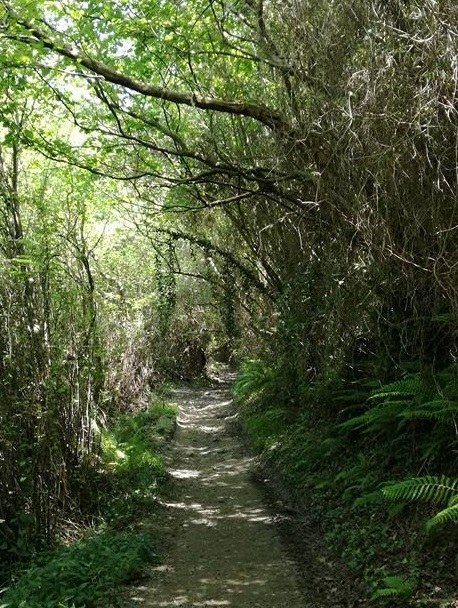 El inventario de caminos rurales públicos no pavimentados, expuesto en la web