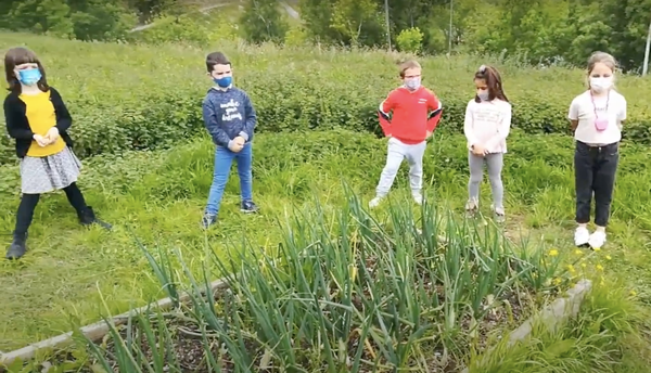 El Pleno de la Agenda 30 Escolar se celebra vía vídeo