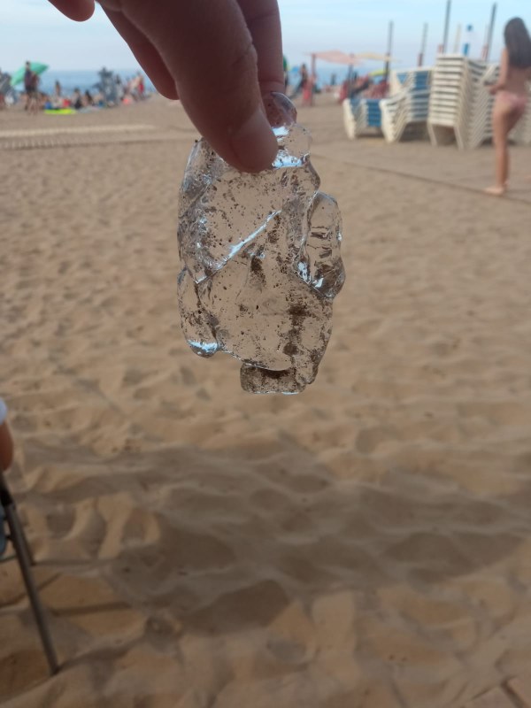 Los organismos gelatinosos que han aparecido en la playa no tienen afectación sobre las personas