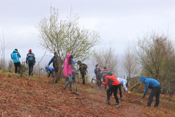 Plantación de árboles en el encinar de Arantza este domingo