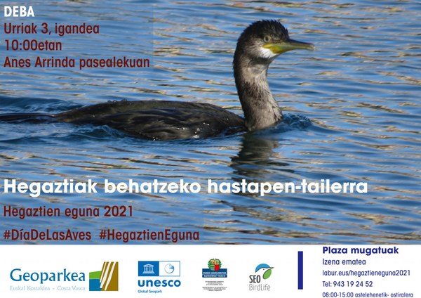 Hegaztiak behatzen ikasteko irteera gidatua antolatu du Geoparkeak igande honetarako